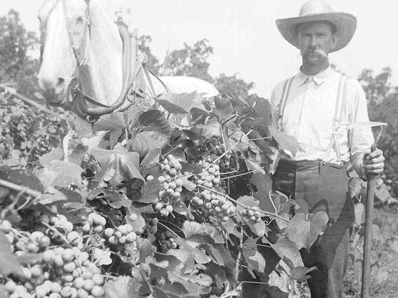 Exploring Missouri's German Heritage documentary premiere