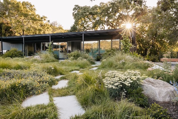 Christian Douglas’ San Rafael Garden