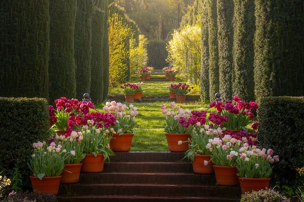 Filoli Gardens