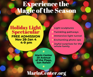  Marin's Free Holiday Light Spectacular