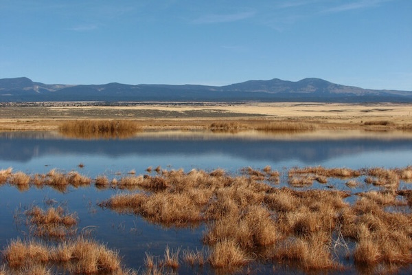 Modoc Landscape