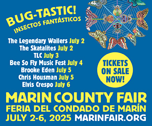 Marin County Fair Bug-Tastic