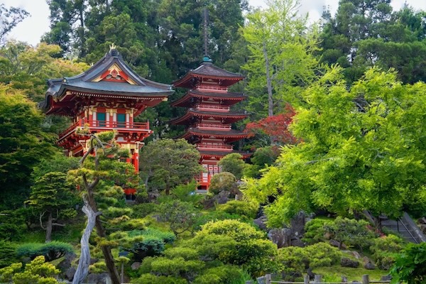 Japanese Tea Garden