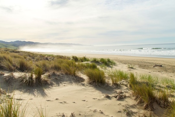 Beach in Marin