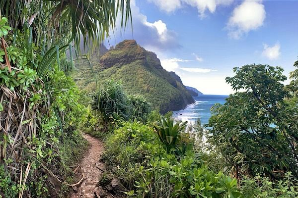 Scenic hiking trail on Kauai